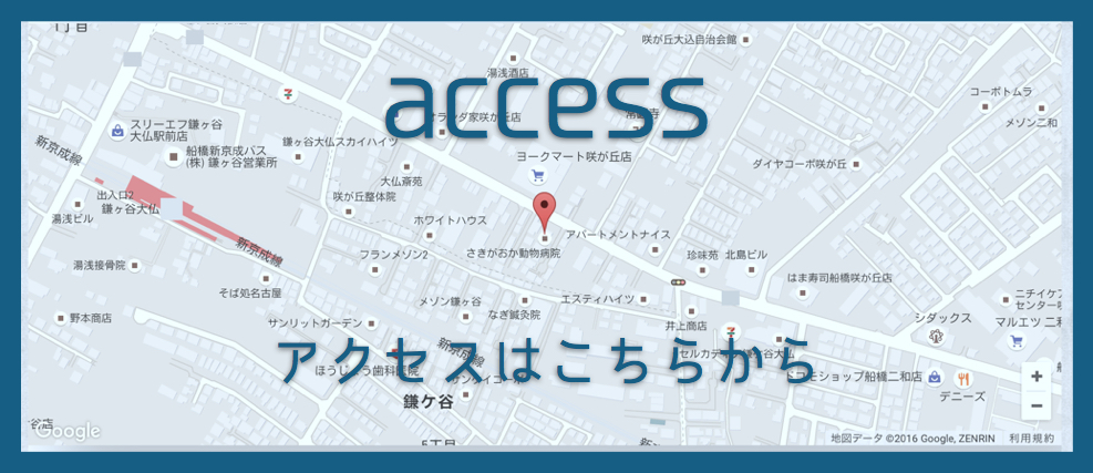 アクセス