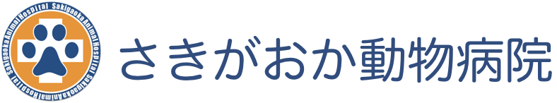 才能を育み活用する力を伸ばす学校 夢を実現するアフタースクールGiFTED FARM