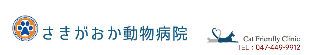 さきがおか船橋動物病院タイトル