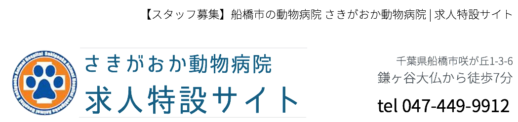 【スタッフ募集】船橋市,鎌ヶ谷の動物病院 さきがおか動物病院 | 求人特設サイト